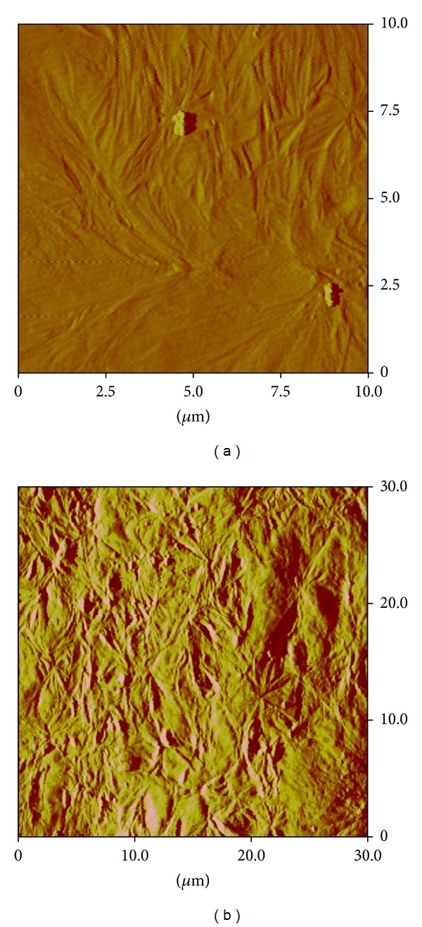 Figure 12