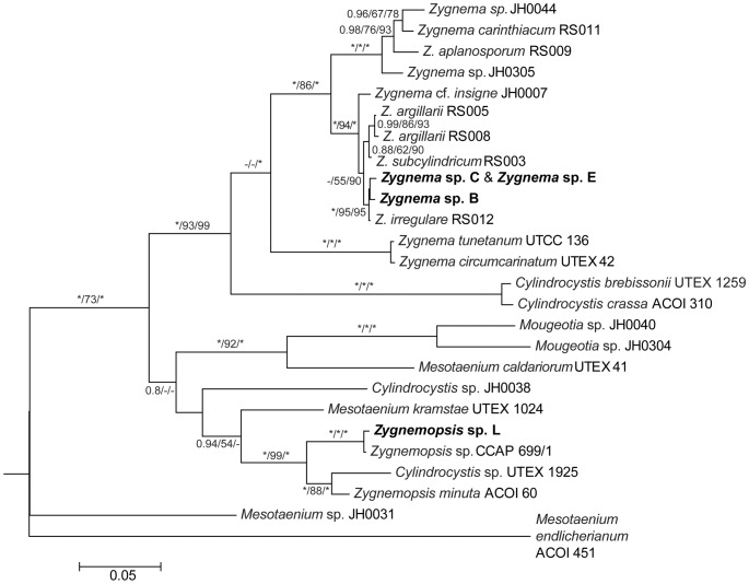 Figure 2