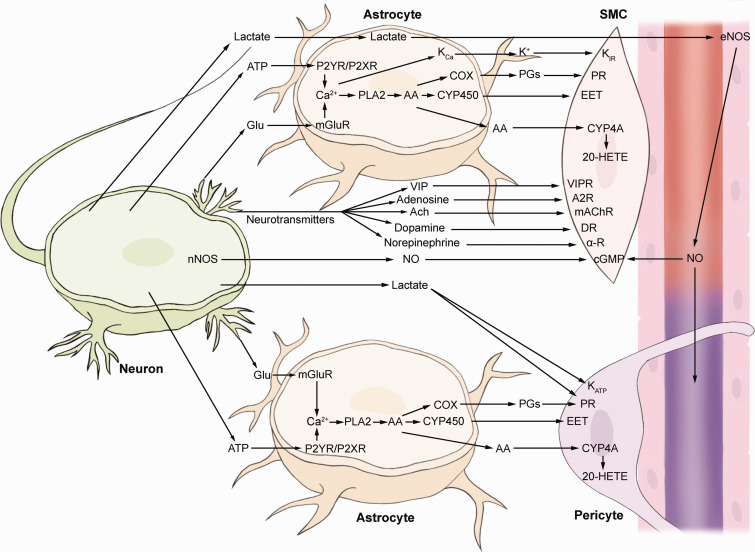 Figure 3.