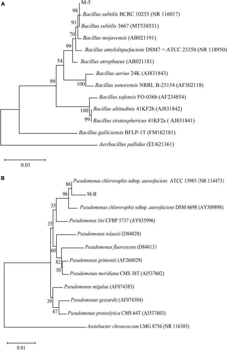 FIGURE 3