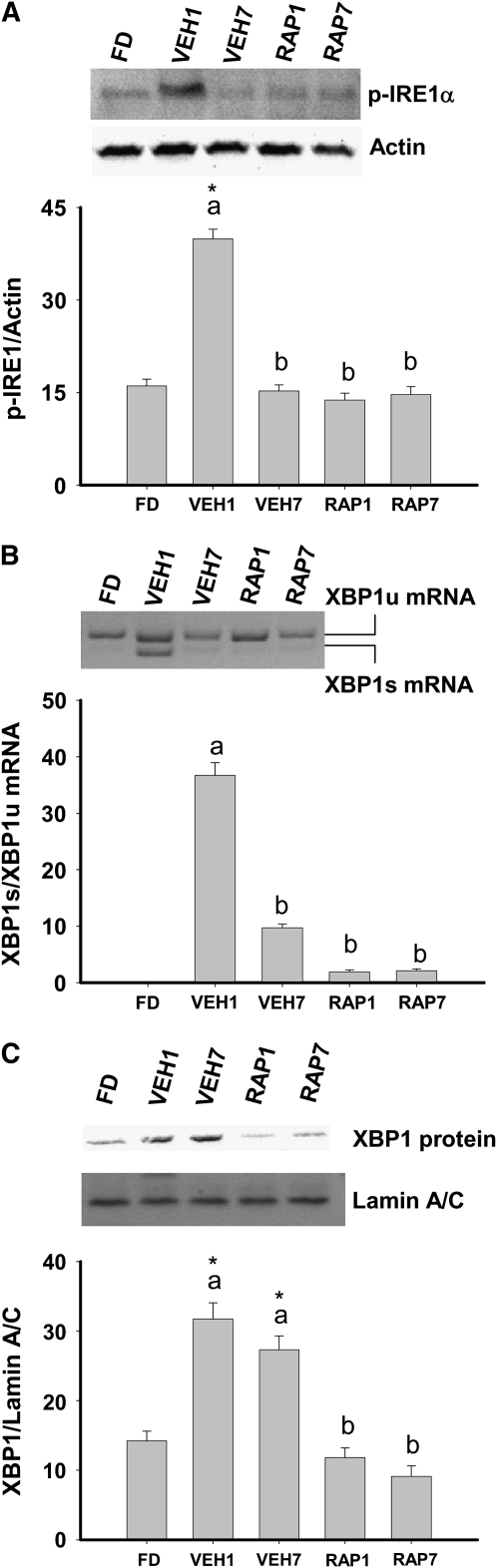 FIGURE 3 