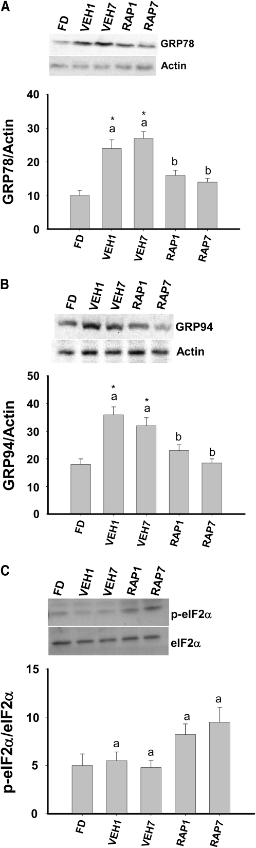 FIGURE 5 