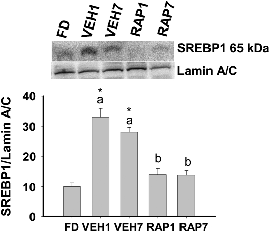 FIGURE 4 