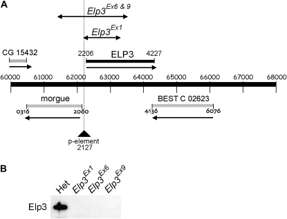 Figure 1.—