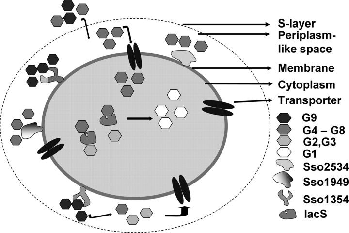 Fig 6