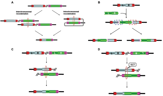 Figure  6. 