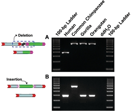 Figure  2. 