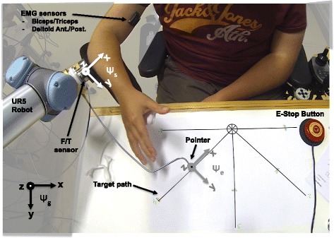 Fig. 2