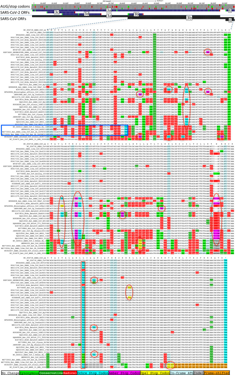 Extended Data Figure 6.