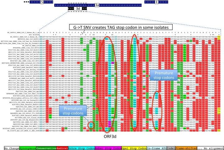 Extended Data Figure 7.