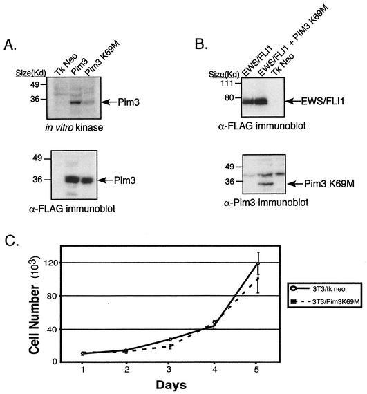 FIG. 6.