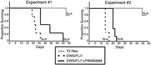 FIG. 7.