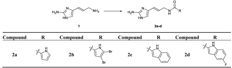 Scheme 1