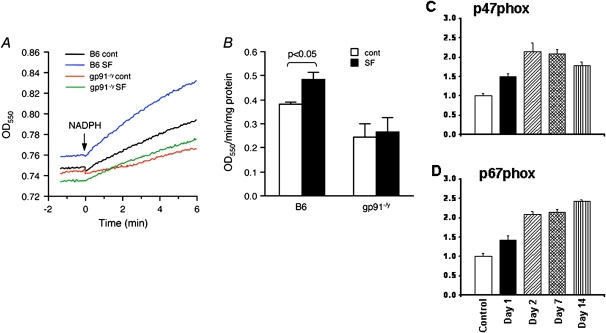 Figure 5.