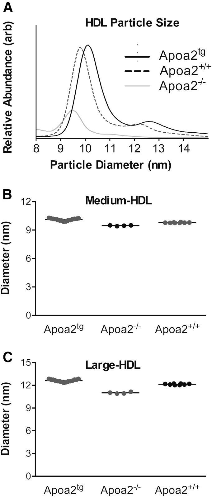 Fig. 5.