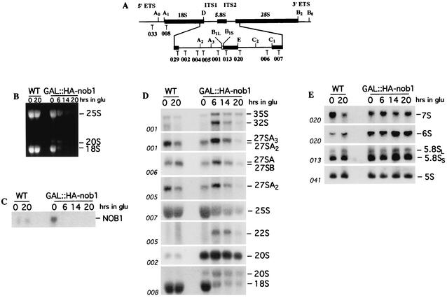 FIG. 6.