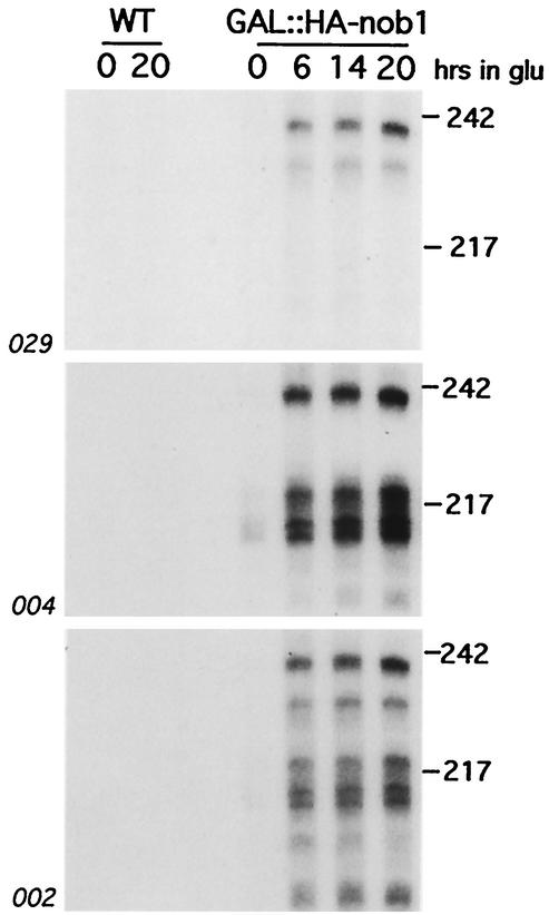 FIG. 7.