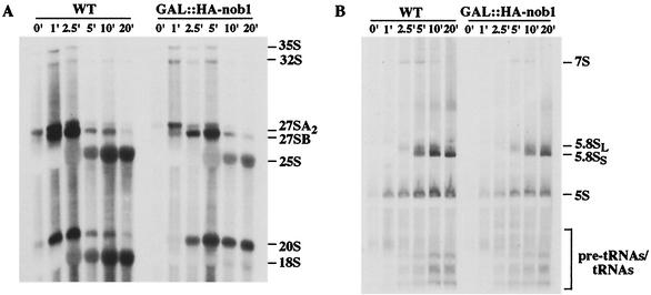 FIG. 5.