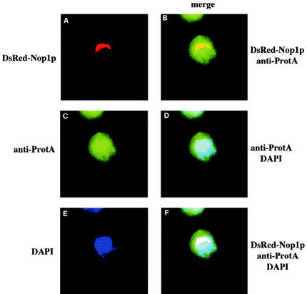 FIG. 8.