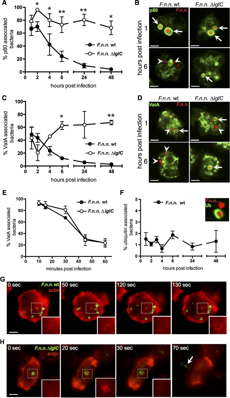 FIG 2