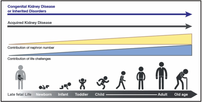 Figure 1: