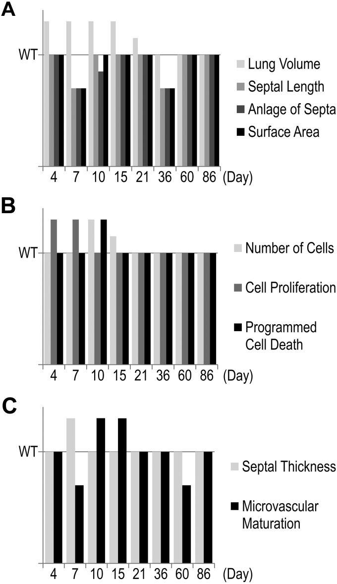 Fig. 8.