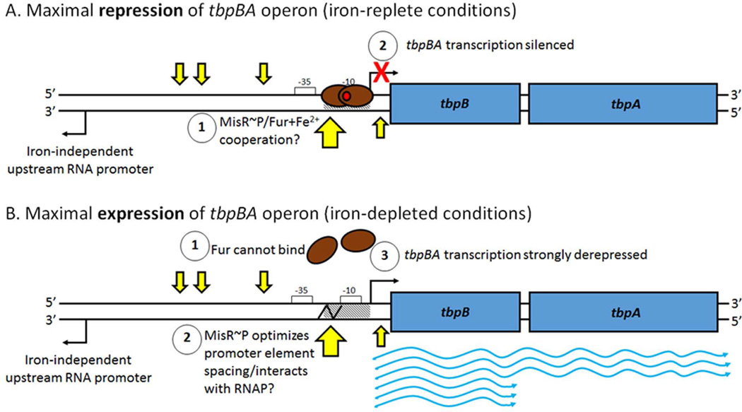 Fig. 10