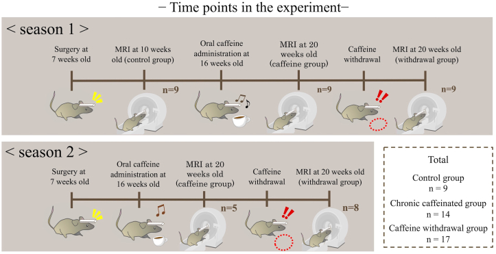 Figure 1