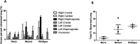 Fig 10
