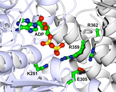 FIGURE 1.