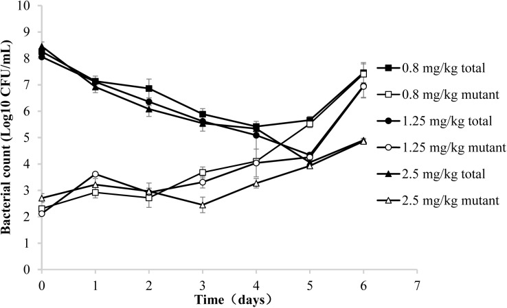 FIGURE 2