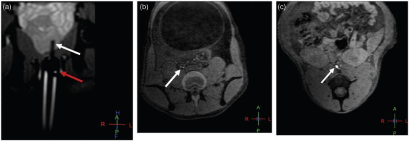 Fig. 2