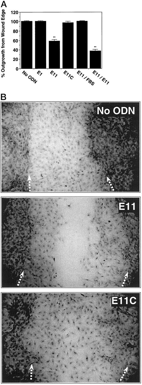 Figure 9.