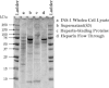 Fig. 6