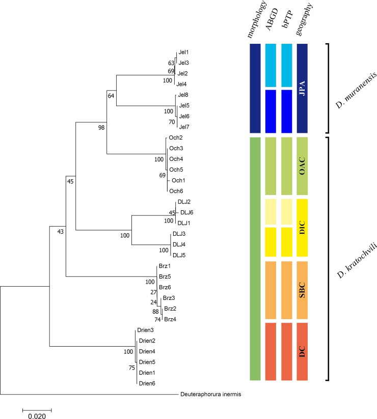 Fig 3