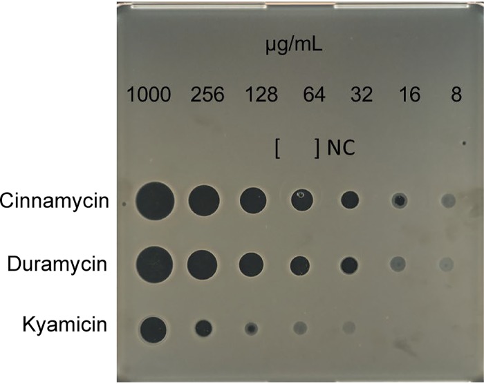 FIG 4