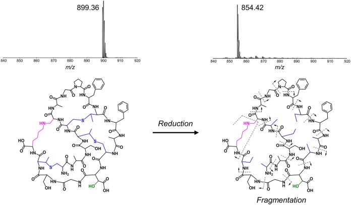 FIG 3