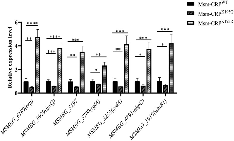 FIG 2