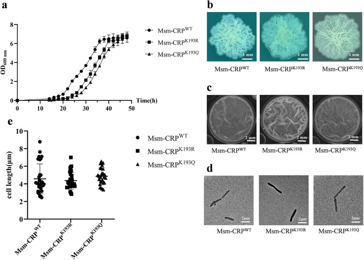 FIG 3