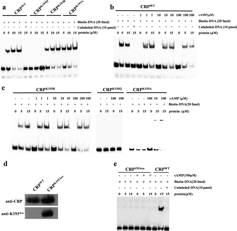 FIG 1