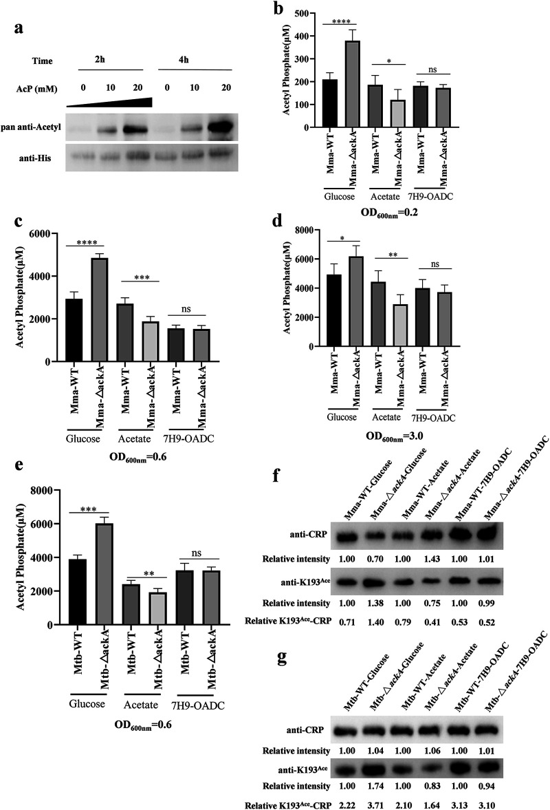 FIG 6