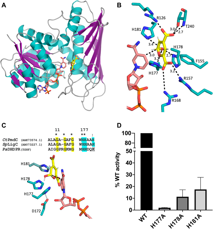 Figure 5