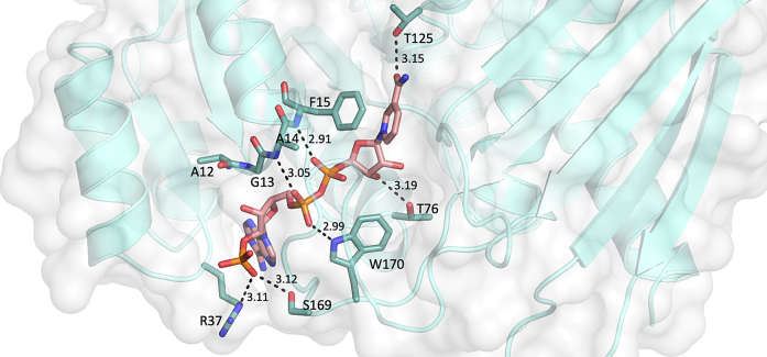 Figure 4