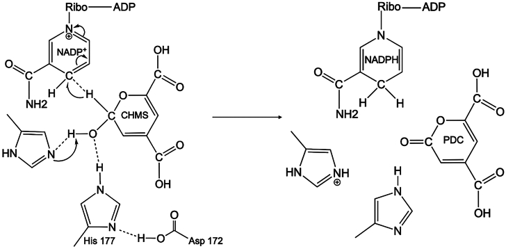 Figure 6