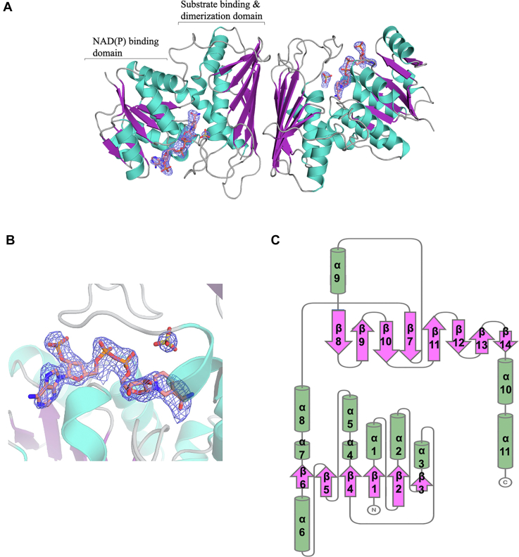 Figure 3