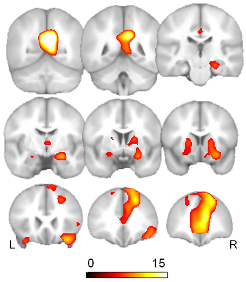 Fig. 5