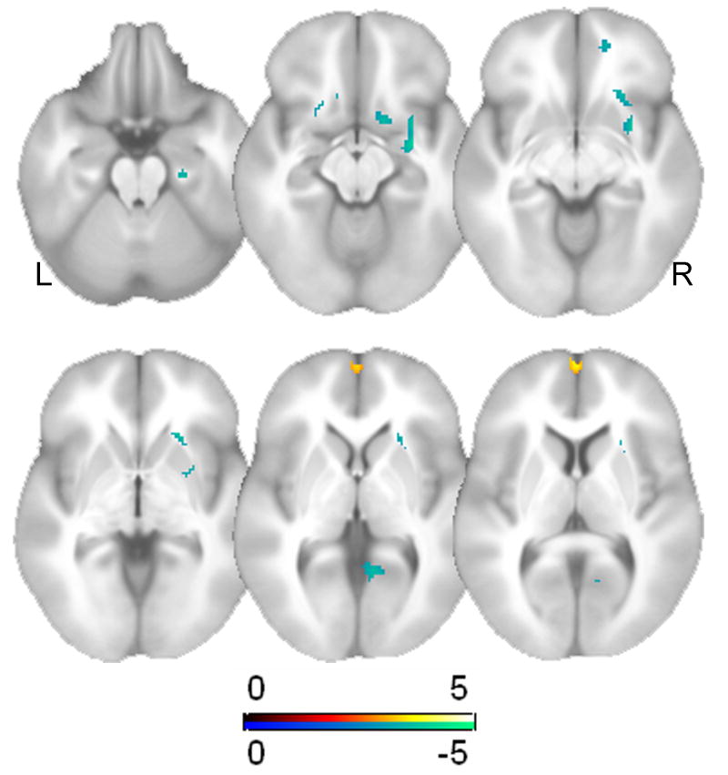 Fig. 6