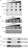 FIGURE 14.