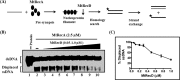 FIGURE 15.