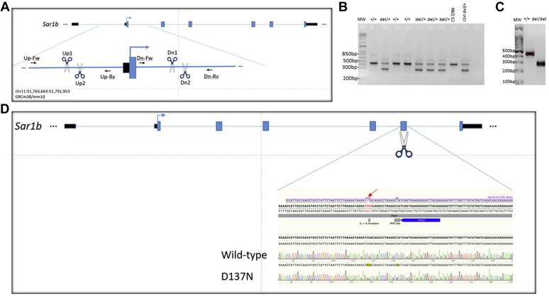 Fig. 1